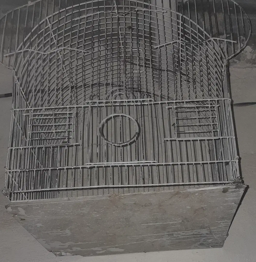 قفس|لوازم جانبی حیوانات|اشترینان, |دیوار