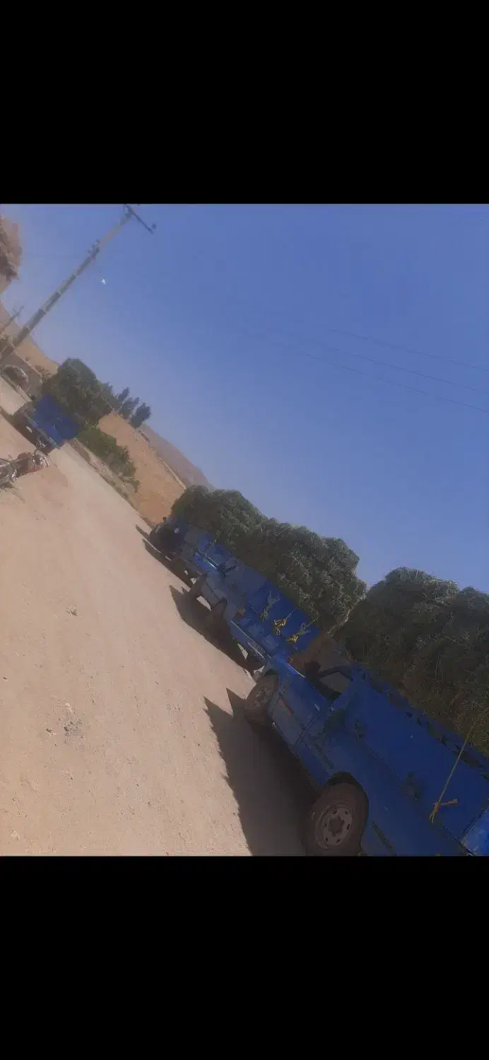 یونجه انباری و تازه چین دوم موجود|عمده‌فروشی|قیدار, |دیوار