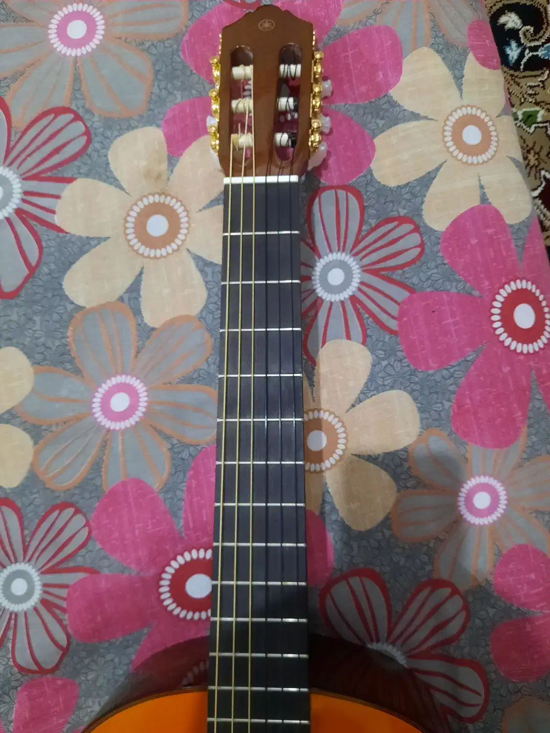 گیتار C70|گیتار، بیس، امپلیفایر|قم, شهر قائم|دیوار