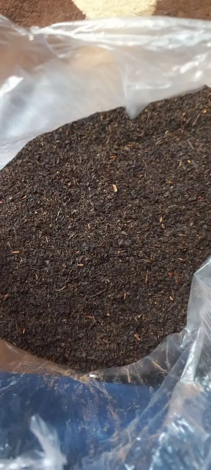 چای|خوردنی و آشامیدنی|قم, شهرک امام حسن|دیوار