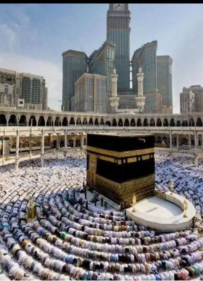 فروش فوری فیش مکه تمتع|تور و چارتر|خورموج, |دیوار