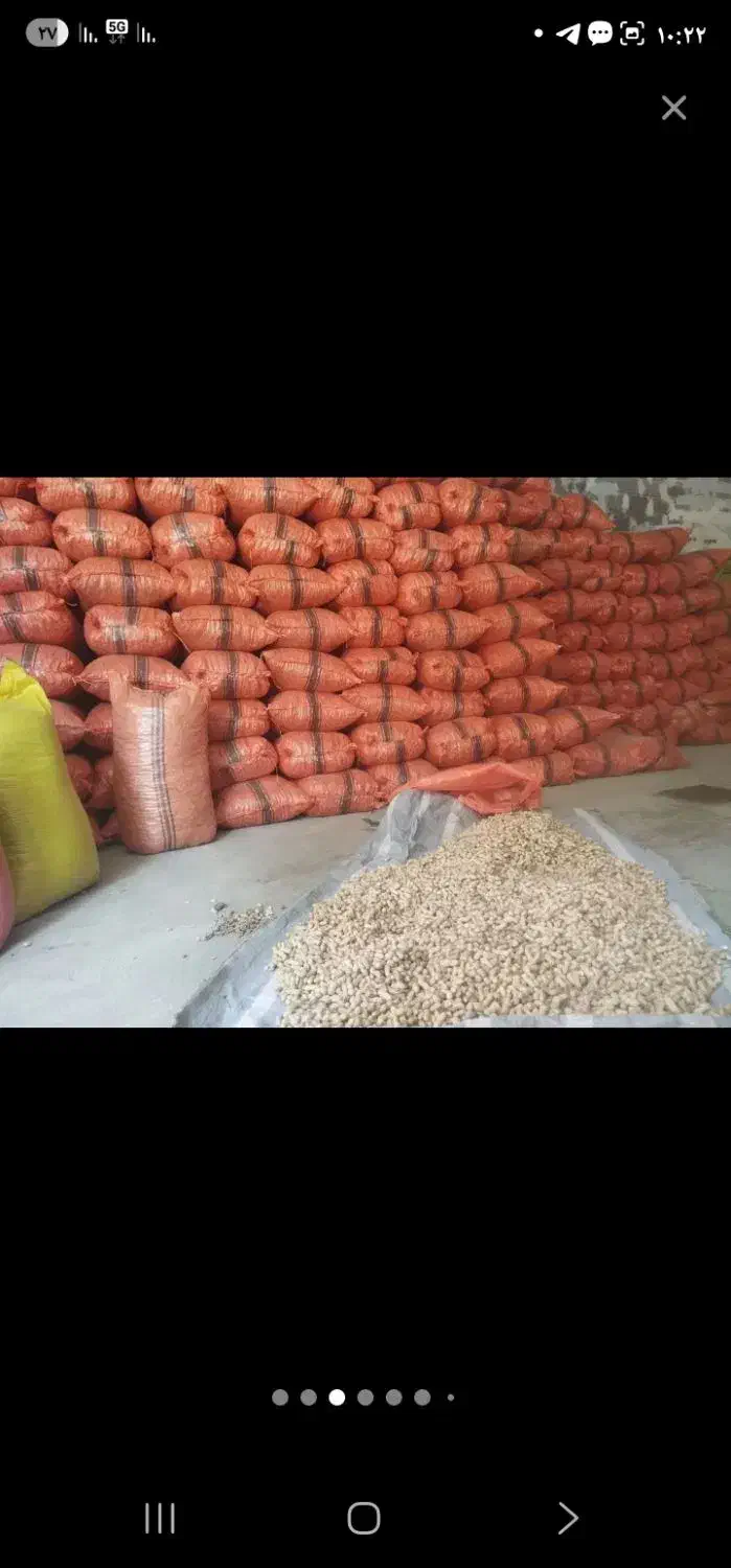 بادام|عمده‌فروشی|تهران, سنگلج (شاپور)|دیوار