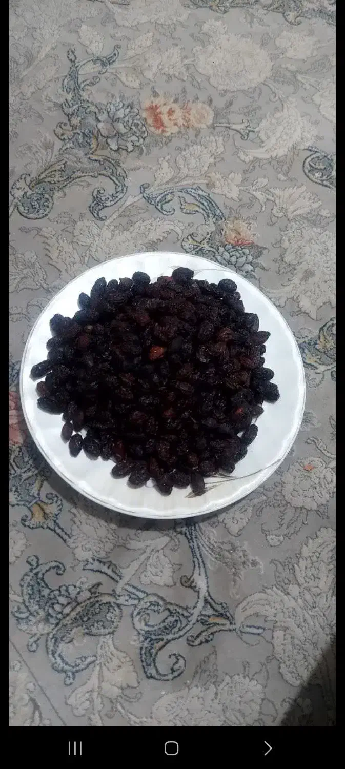 زغال اخته خشک  امساله گوشتی|خوردنی و آشامیدنی|قم, نیروگاه|دیوار