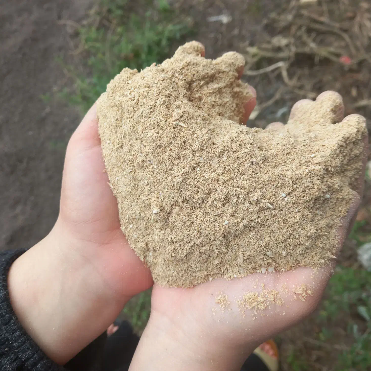 سبوس برنج ( کپک) دانه دار|خوردنی و آشامیدنی|رشت, یخسازی|دیوار