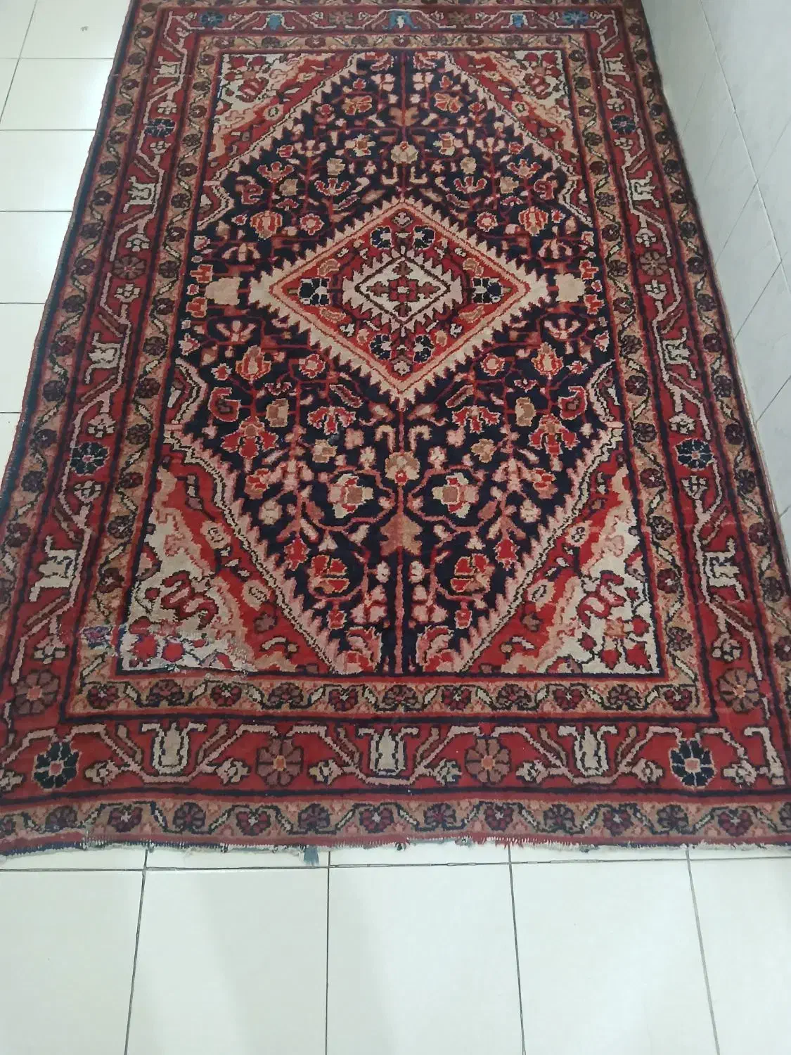 قالی دستباف قدیمی|فرش|تهران, باغ فیض|دیوار