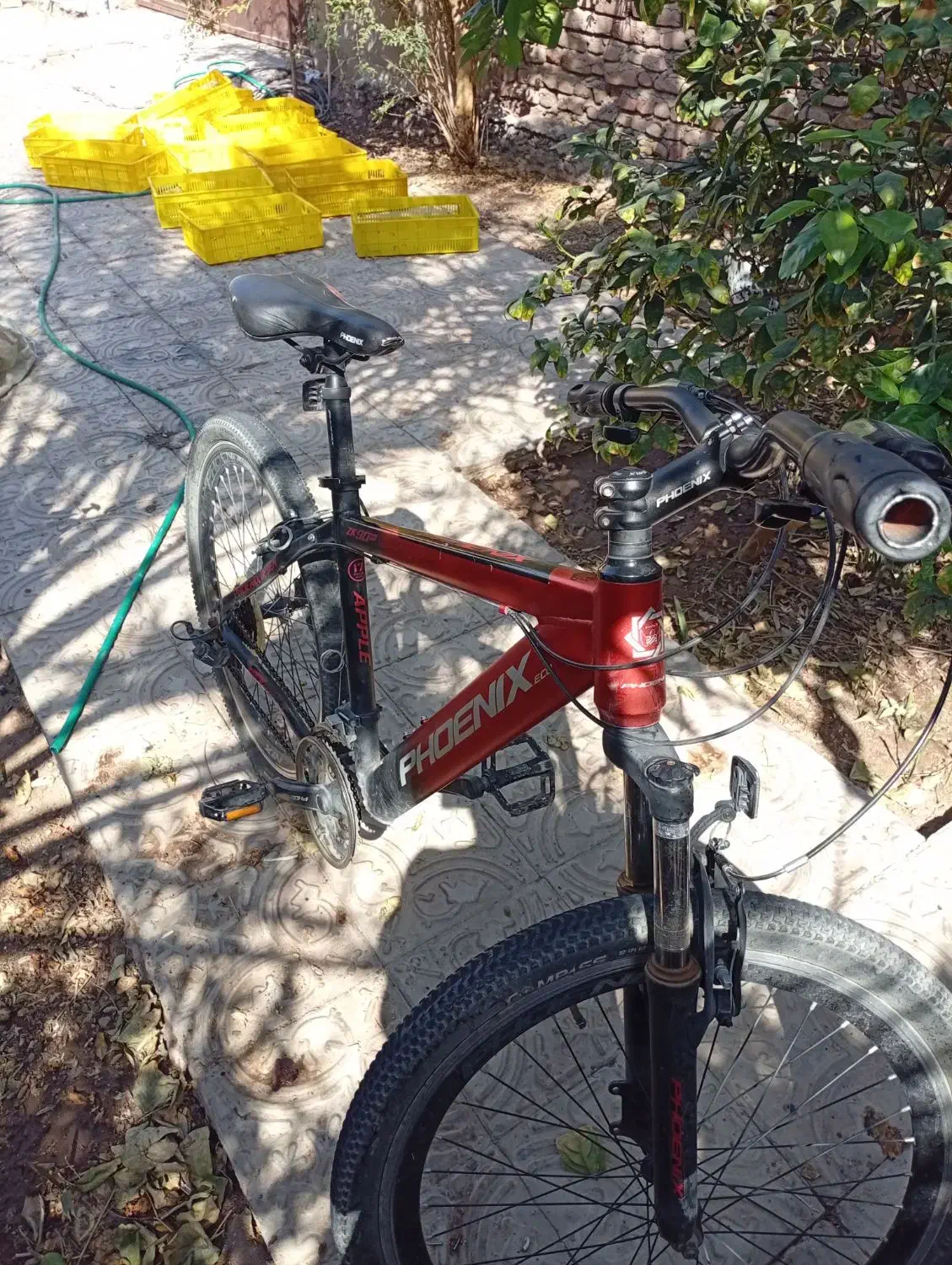 دوچرخه فونیکس۲۶ دنده ای|دوچرخه، اسکیت، اسکوتر|بم, |دیوار