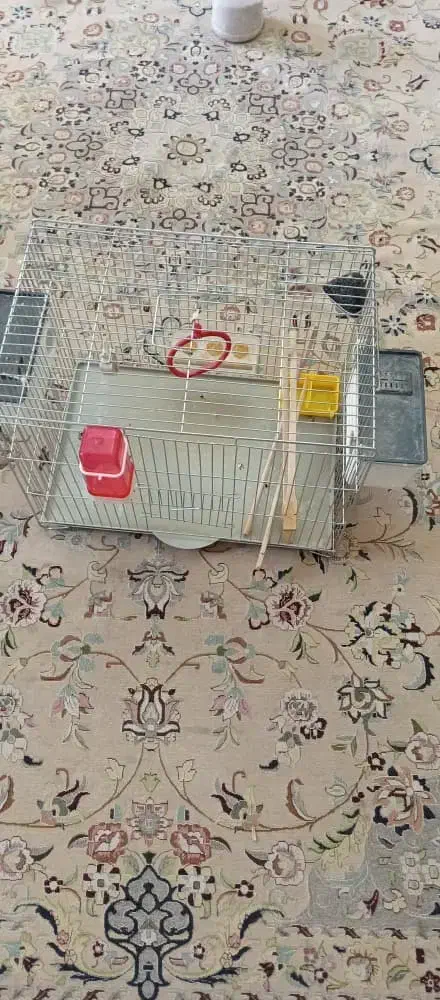 قفس پرنده|لوازم جانبی حیوانات|شیراز, ریشمک|دیوار