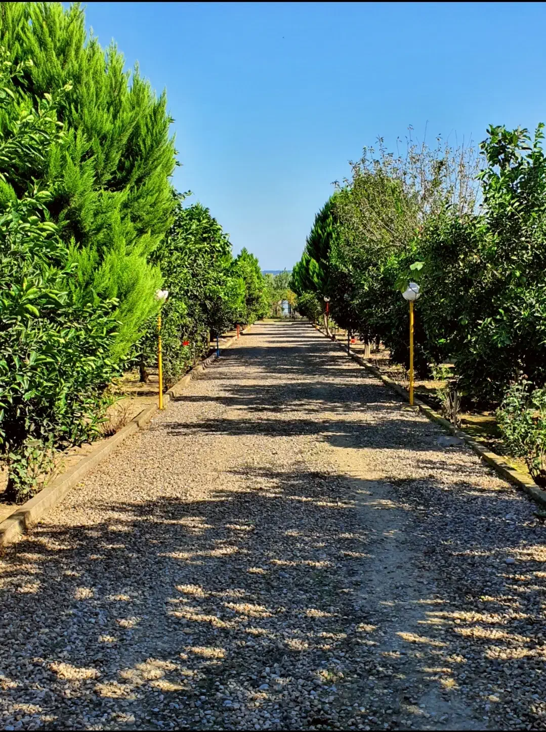 نیاز به سرایدار برای باغ|استخدام سرایداری و نظافت|قائم‌شهر, |دیوار