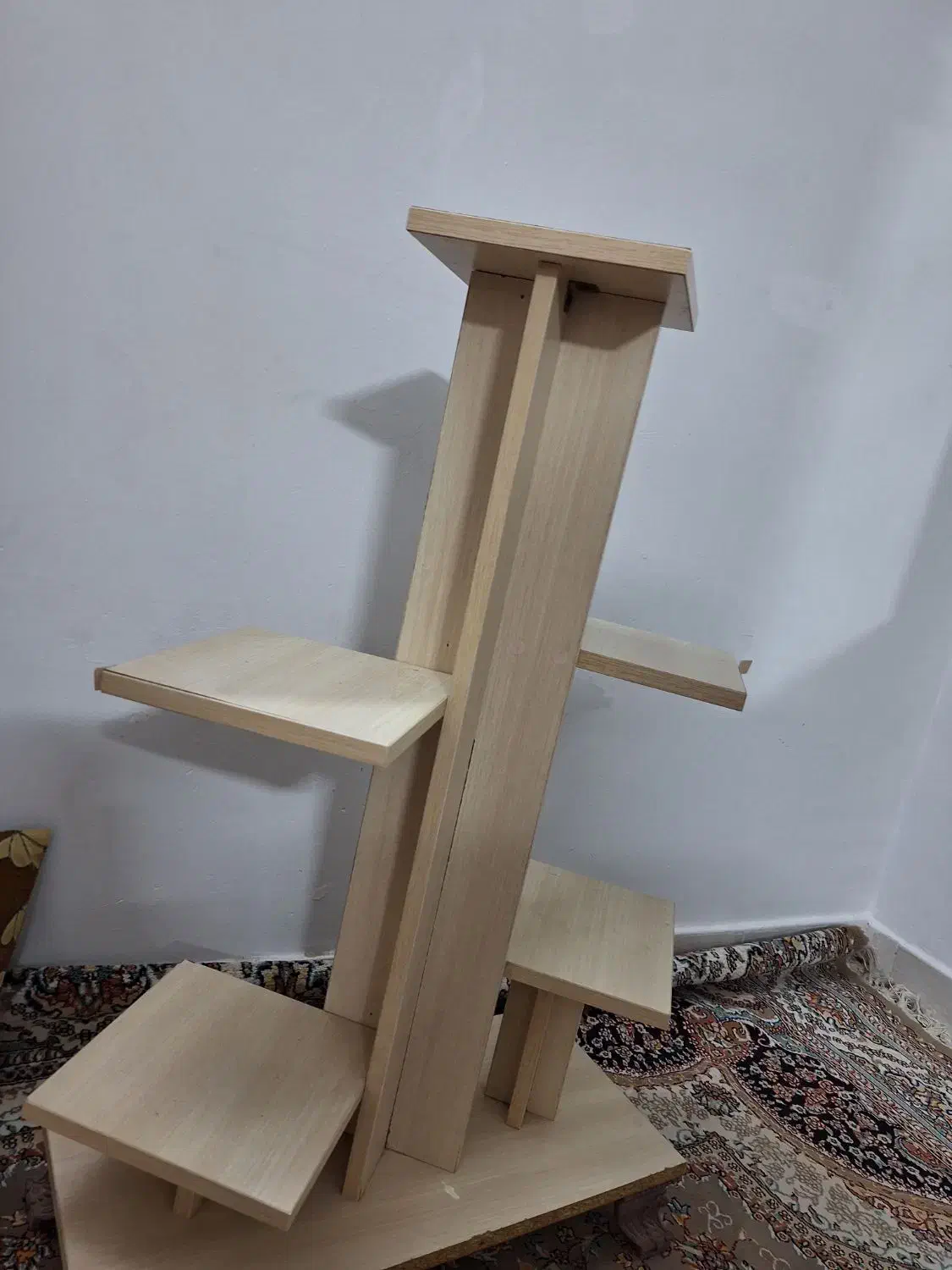 گلدون|گل و گیاه طبیعی|مشهد, چهارچشمه|دیوار