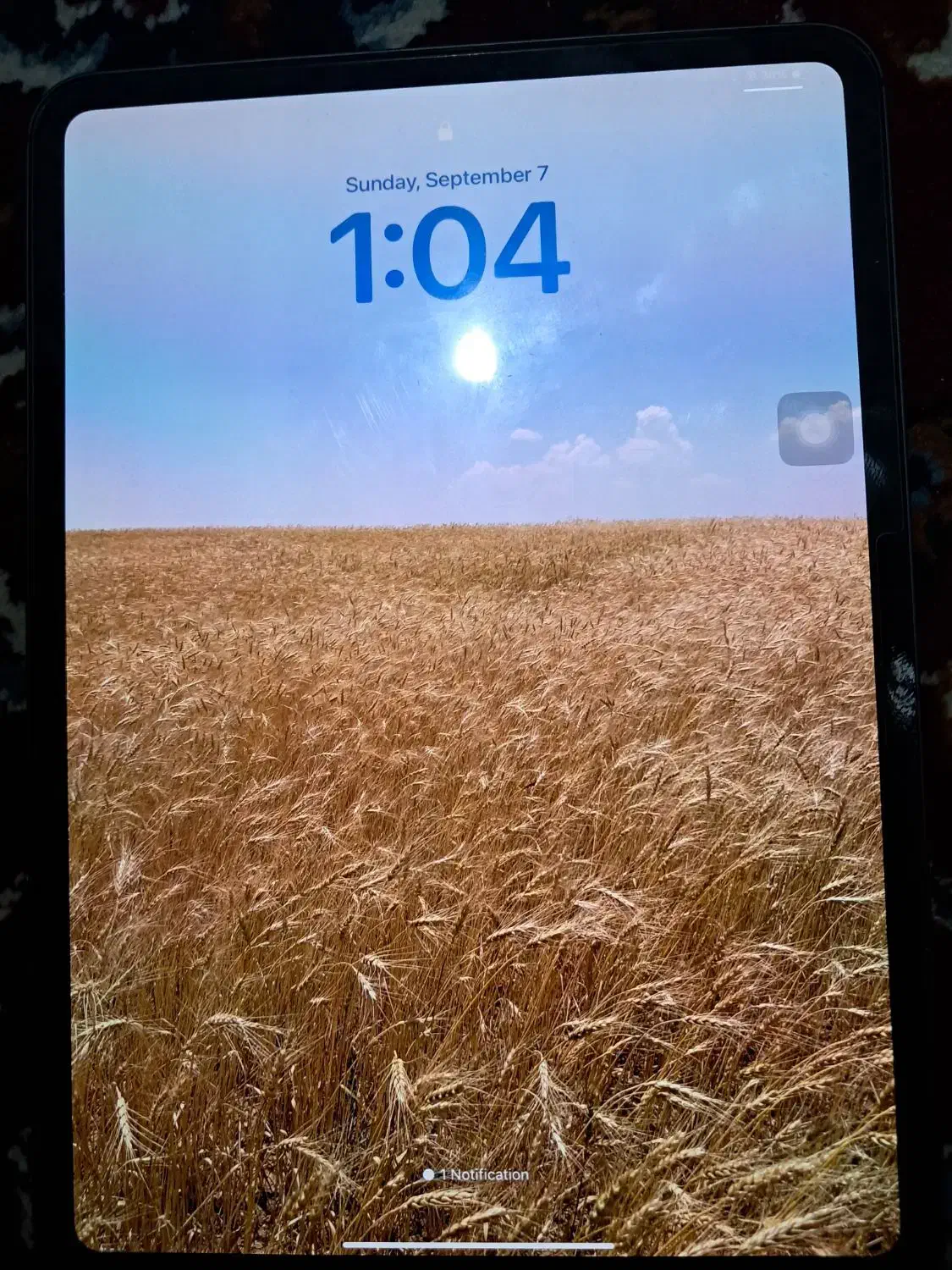 ipadpro/m4/256g/91%|تبلت|تهران, نجات اللهی|دیوار