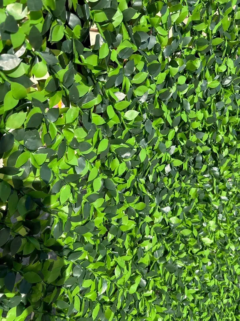 فنس چمنی وفنس برگ ریحون وانگور مستقیم ازتولیدی|مصالح و تجهیزات ساختمان|ارومیه, |دیوار