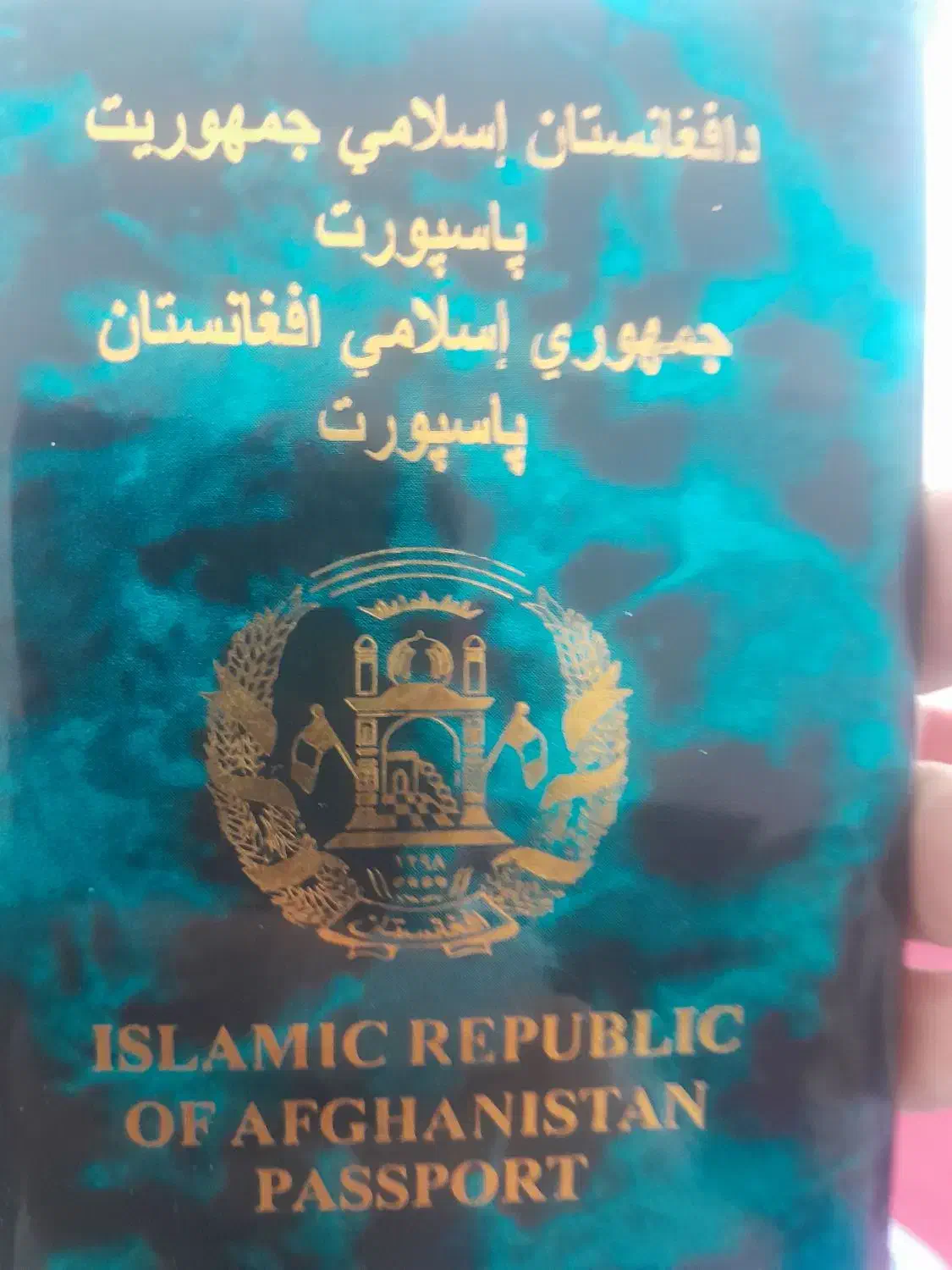 پاسپورت گم شده|اشیا|مشهد, کوی دروی|دیوار