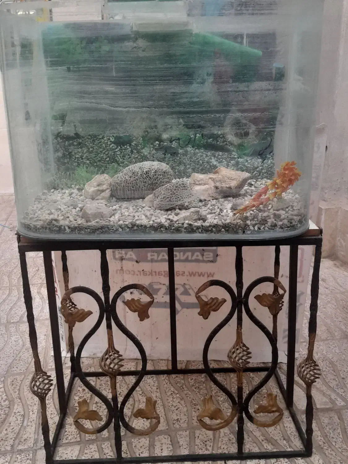 آکواریوم شیشه خم شرکتی|ماهی|ملایر, |دیوار