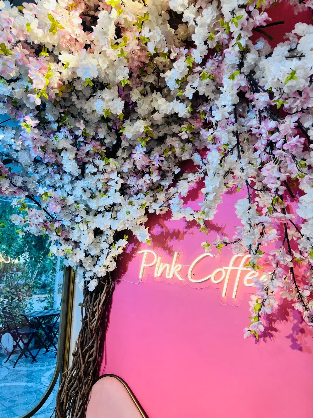 عکاسی در فضای باز|خدمات پذیرایی، مراسم|دوگنبدان, |دیوار