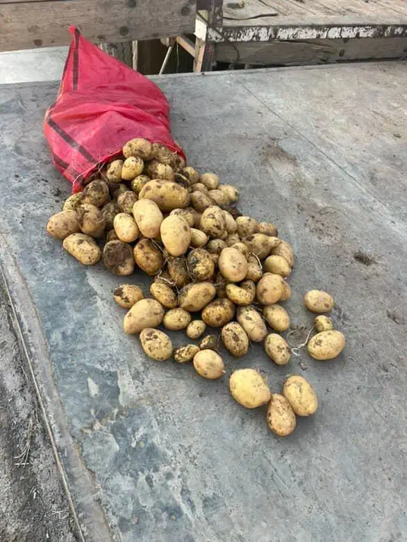 اگریا درشت بار عمده و خرده فروشی|خوردنی و آشامیدنی|اصفهان, باغ زرشک|دیوار