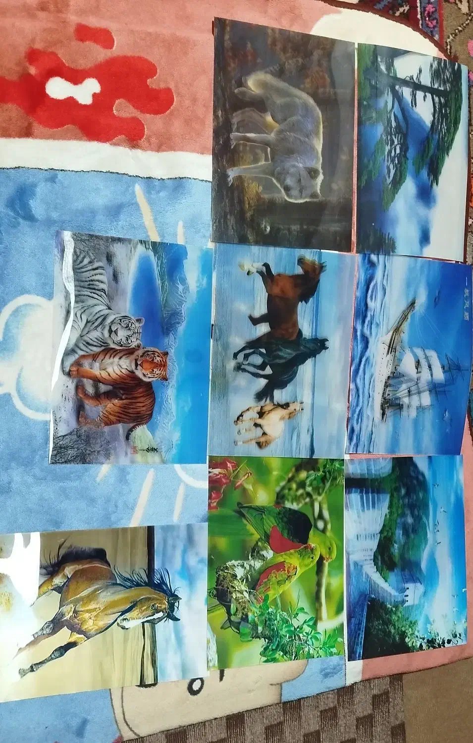 تابلو های سه بعدی|تابلو، نقاشی، عکس|اهر, |دیوار