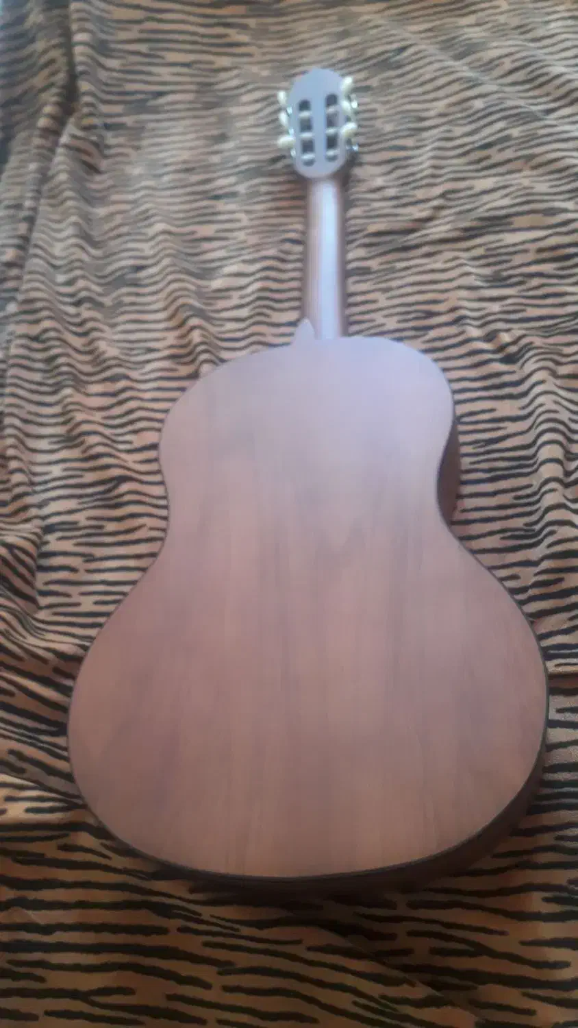 KORDOBA|گیتار، بیس، امپلیفایر|مشکیندشت, |دیوار