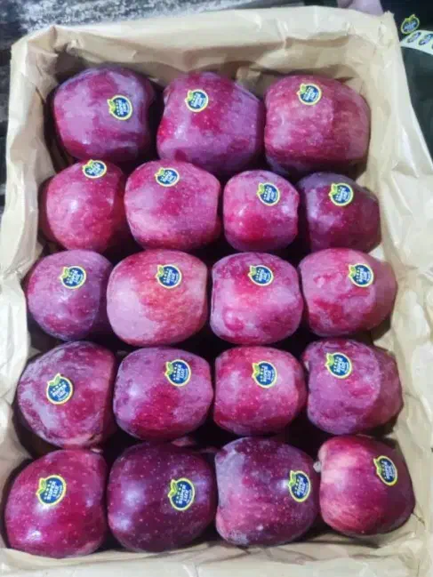 سیب صادراتی درجه یک|عمده‌فروشی|سمیرم, |دیوار