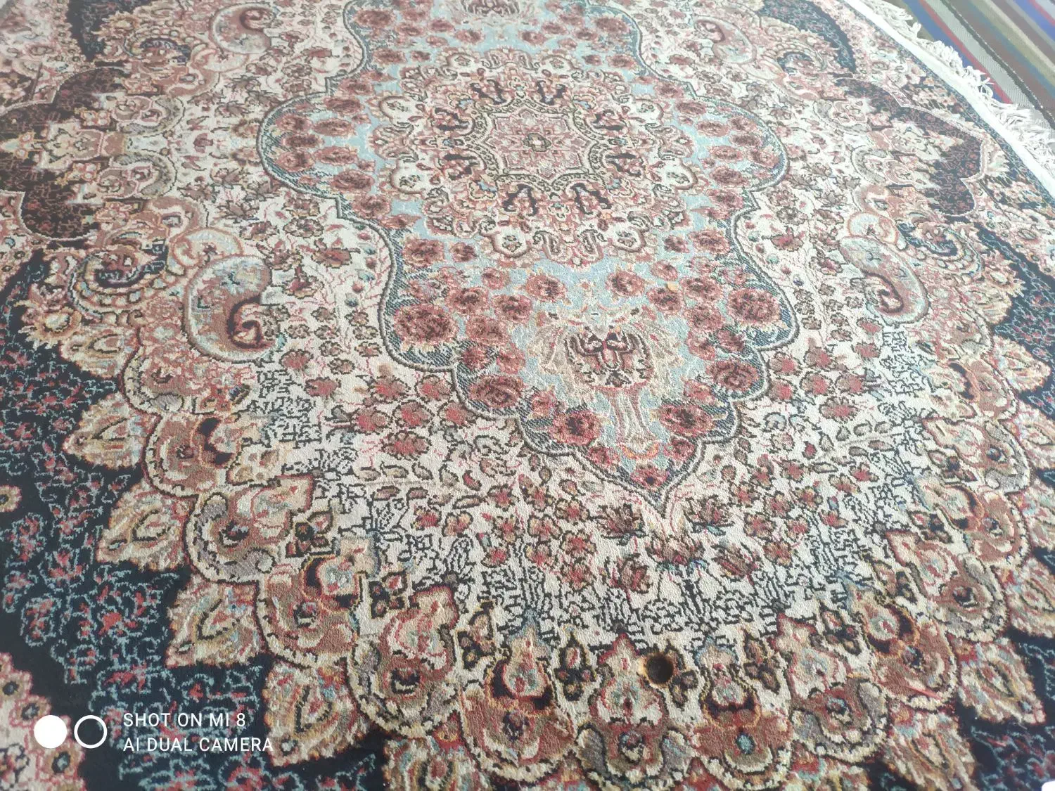 فرش بیضی|فرش|تهران, دروازه شمیران|دیوار