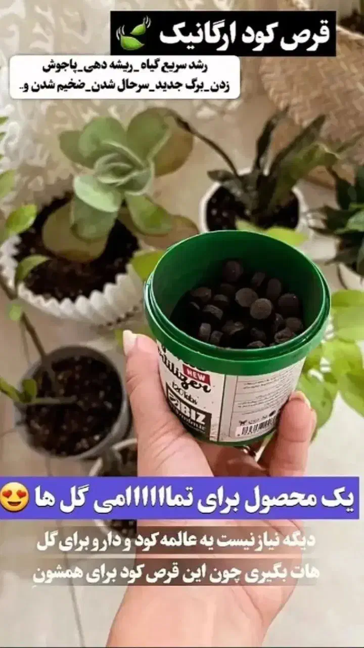 قرص کودگیاهی|گل و گیاه طبیعی|اردبیل, |دیوار