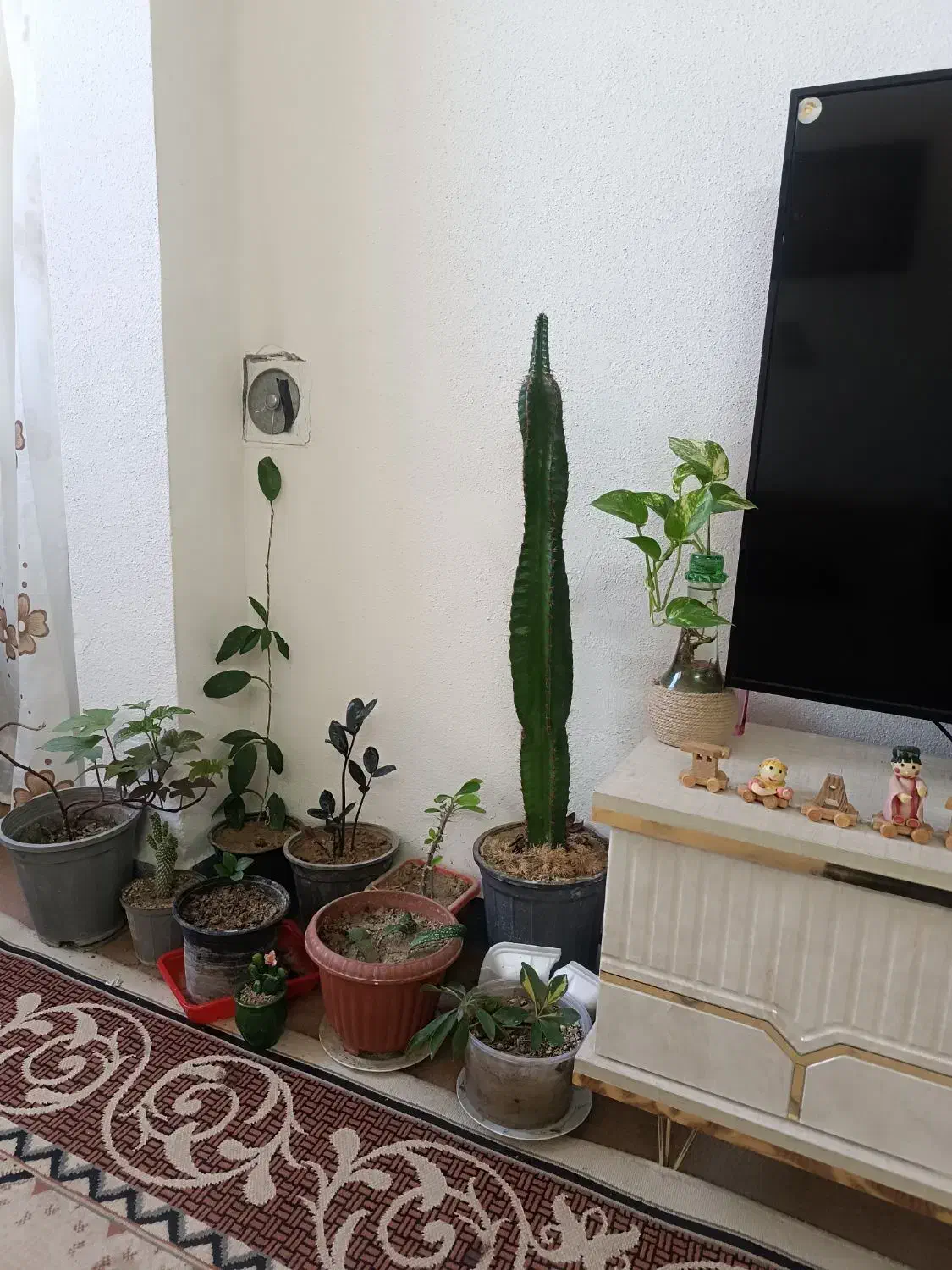 اجاره کوتاه مدت برای مسافرین عزیز|اجارهٔ کوتاه‌مدت آپارتمان و سوئیت|کازرون, |دیوار