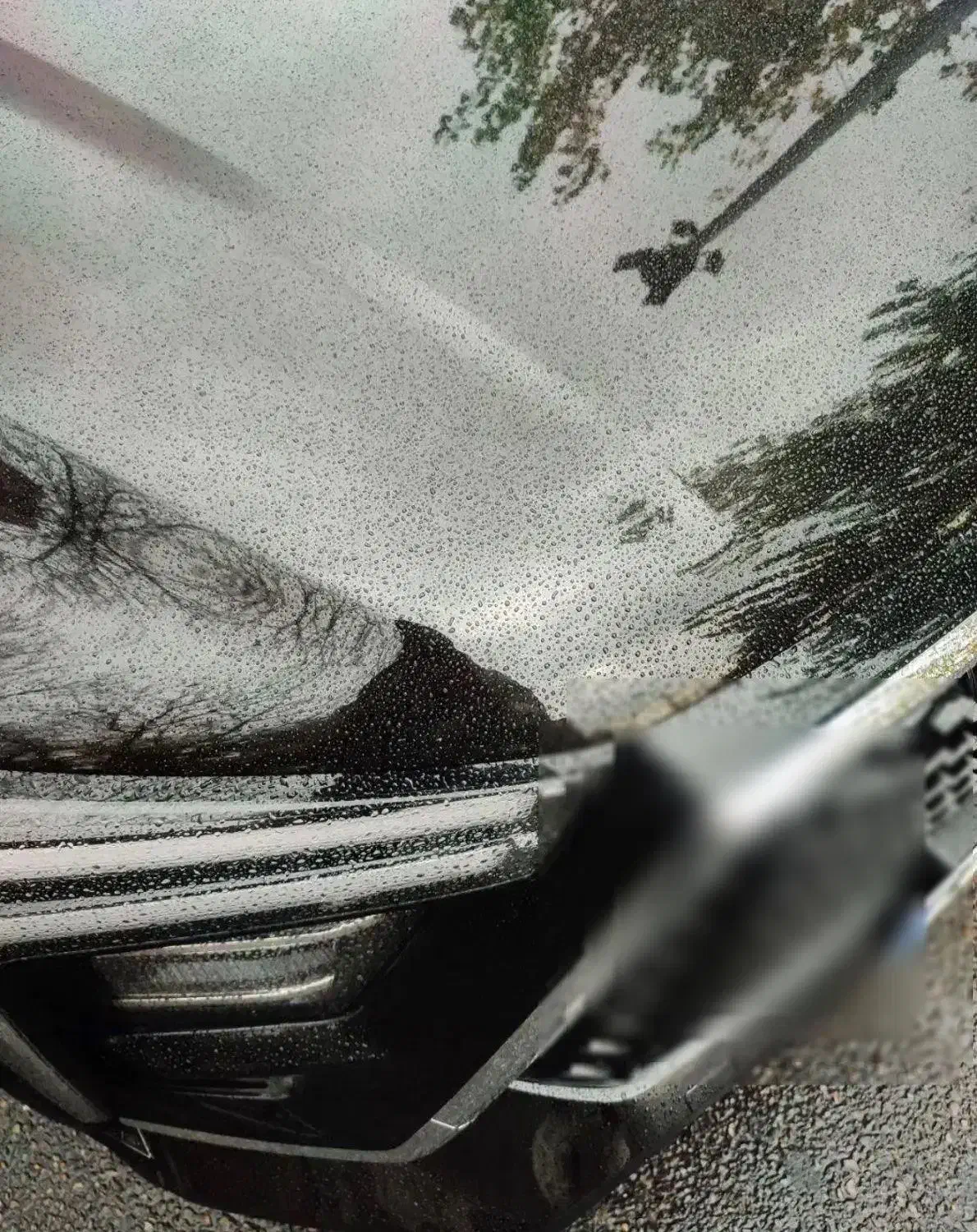 x5 1403 مشکی بی رنگ|خودرو سواری و وانت|مشهد, هنرستان|دیوار