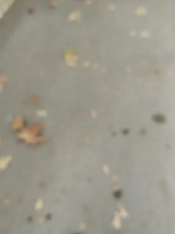 کیف پول|اشیا|ارومیه, |دیوار