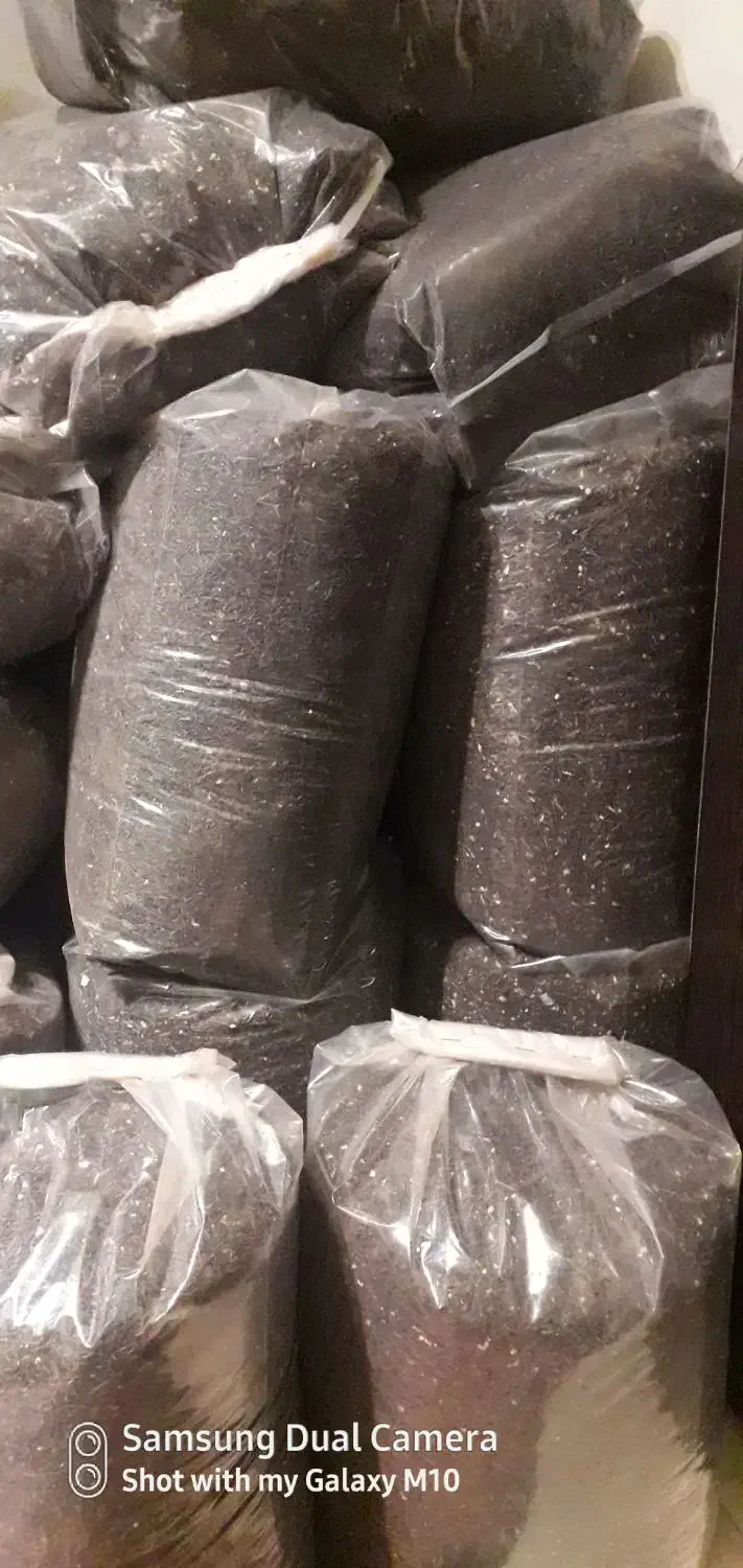 چای سیلان خارجی|خوردنی و آشامیدنی|ری, سیزده آبان|دیوار