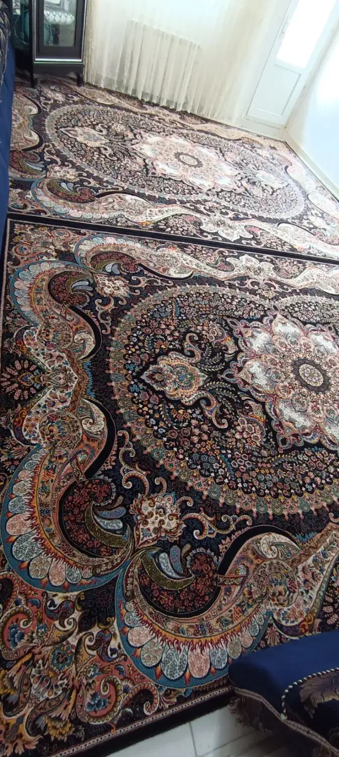 دو عدد فرش|فرش|صحنه, |دیوار