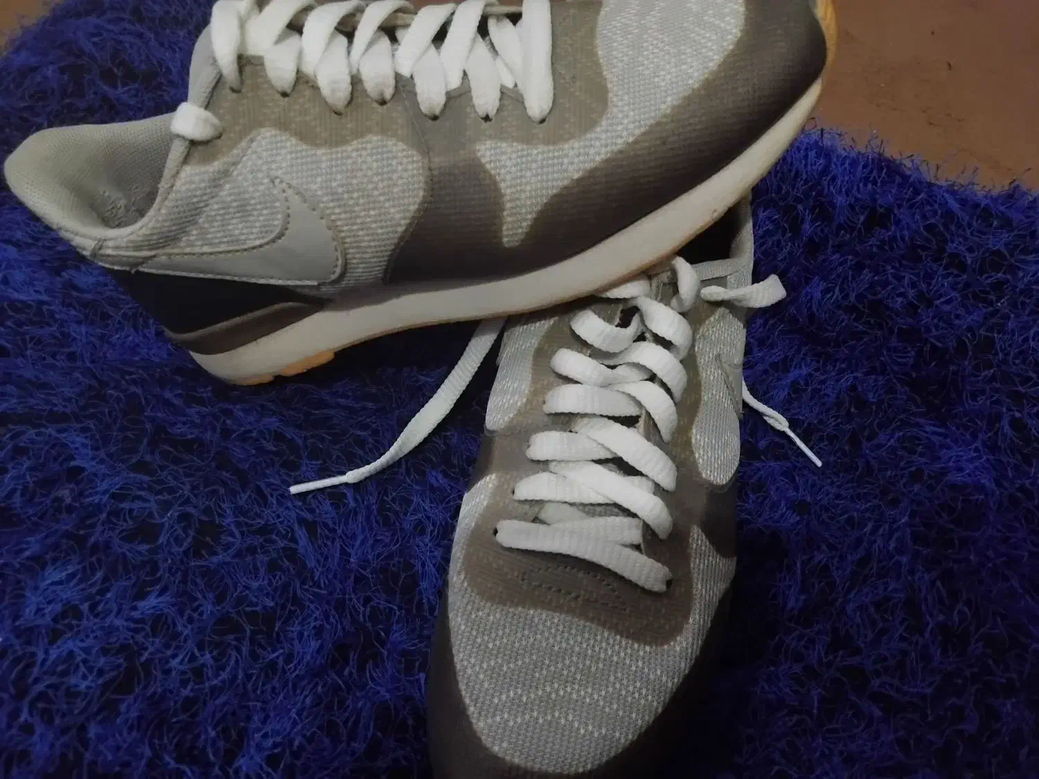 ۳۷ ،خارجی|کلکسیون اشیاء عتیقه|بجنورد, |دیوار