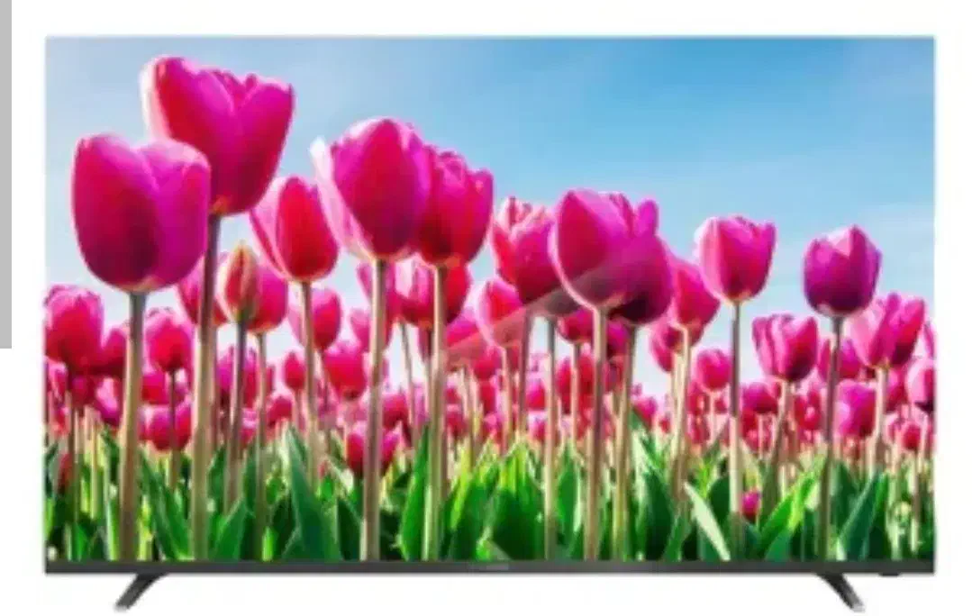 تلویزیون دوو ۵۰ اینچ|تلویزیون و پروژکتور|آباده, |دیوار