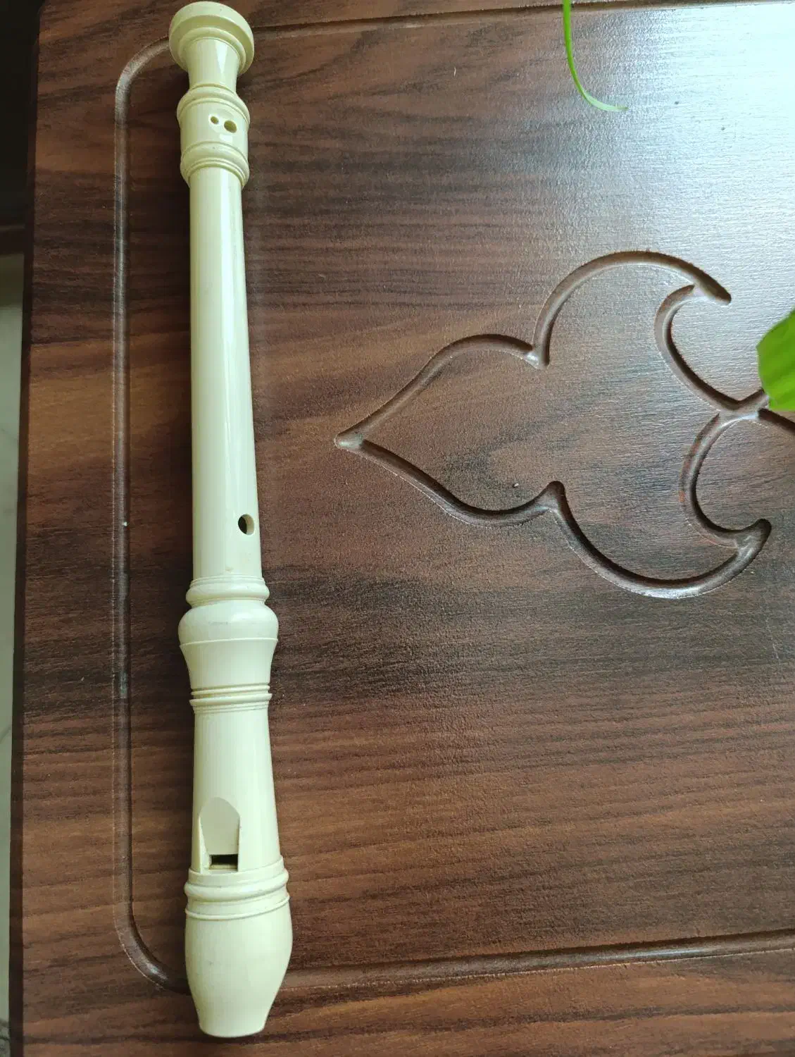 فلوت و ستار|سازهای بادی|اصفهان, باغ کاران|دیوار