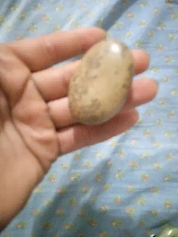 سنگ زیبا و طبیعی تراش نخورده|کلکسیون اشیاء عتیقه|خوی, |دیوار