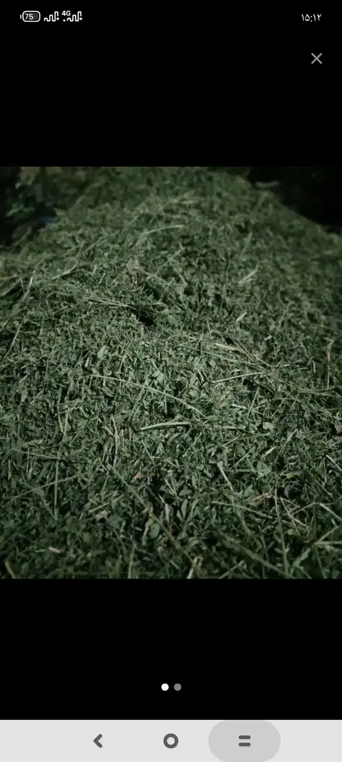 فروش یونجه چمنی خشک|لوازم جانبی حیوانات|شیراز, رحمت‌آباد|دیوار