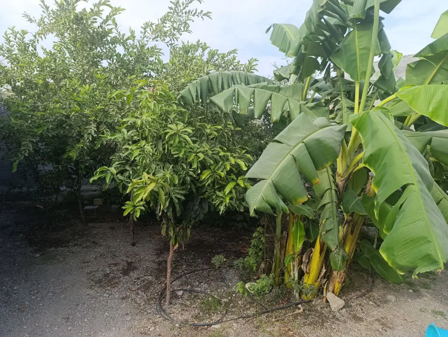 فروش خانه ویلایی ۱۴۰ متری ۲ خوابه|فروش خانه و ویلا|منوجان, |دیوار