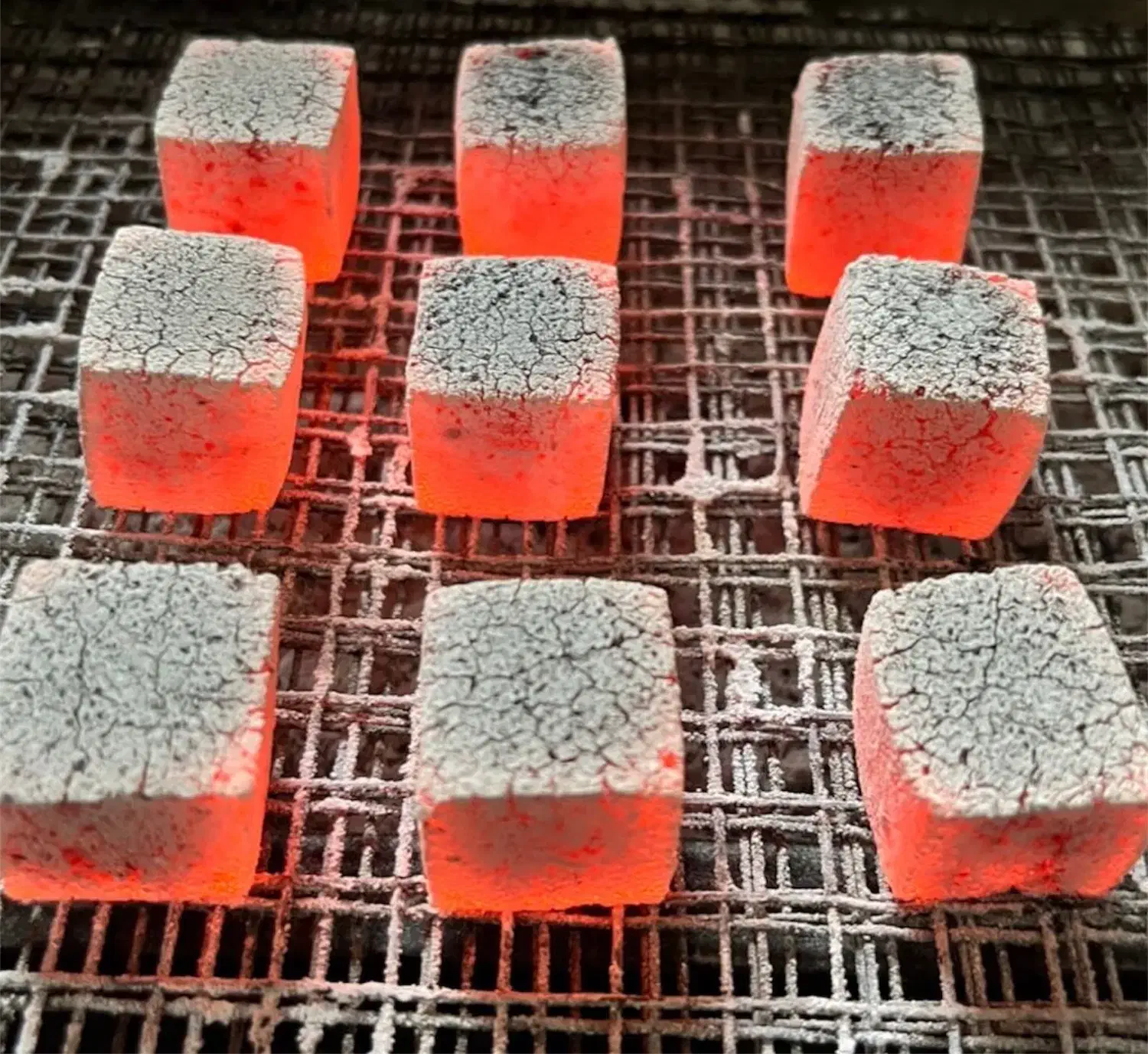 زغال نارگیل وارداتی اصل جاکوکو - با بسته بندی شیک|عمدهفروشی|تبریز, |دیوار