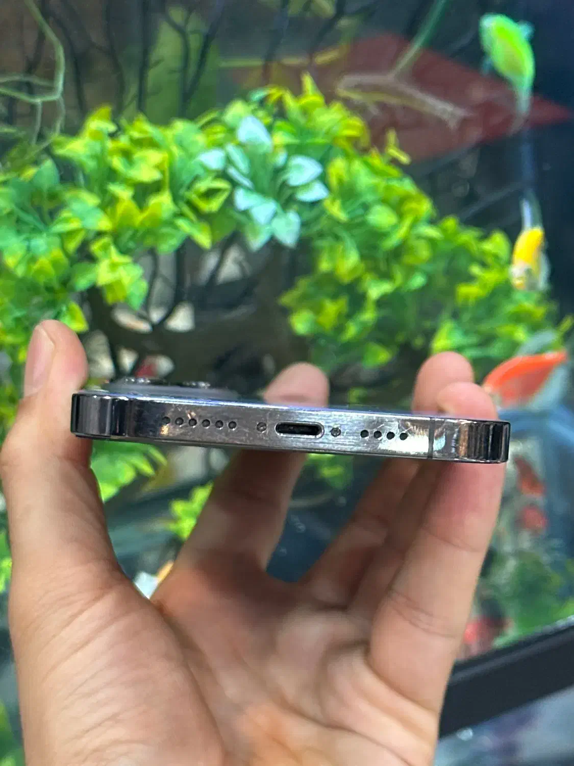 12pro max|موبایل|شیراز, زند|دیوار