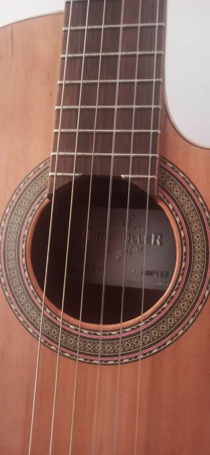 گیتار|گیتار، بیس، امپلیفایر|اردبیل, |دیوار