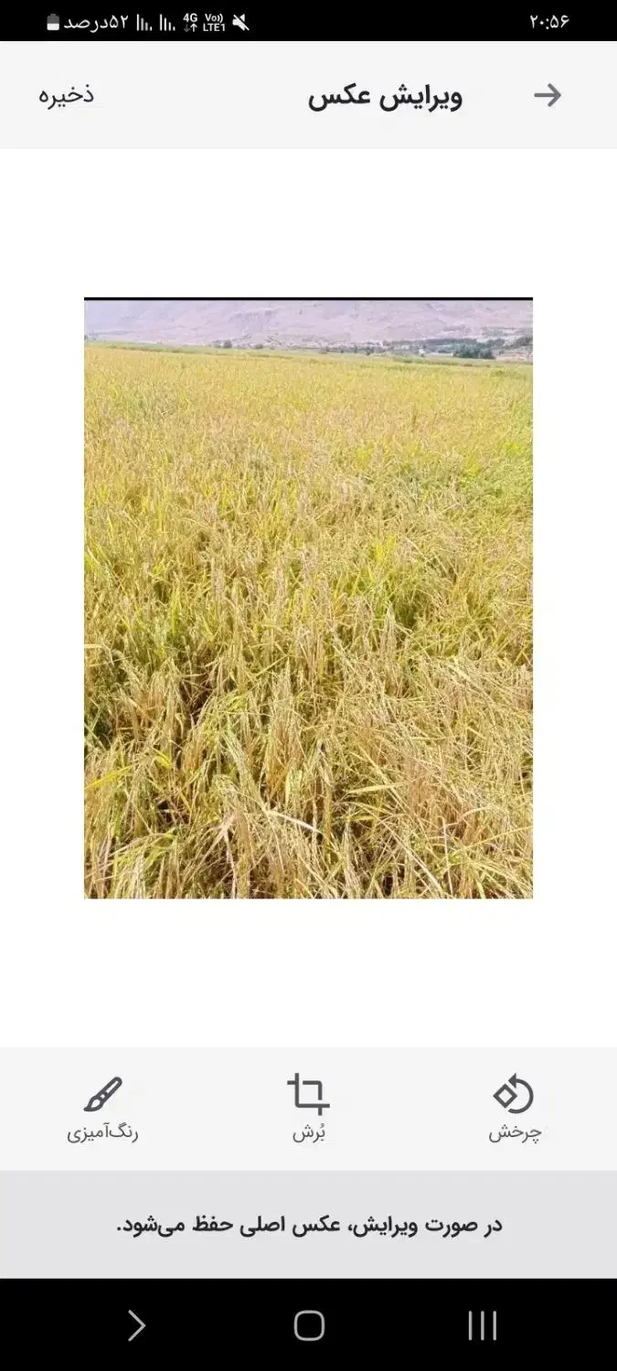 بذربرنج|بدلیجات|بروجرد, |دیوار