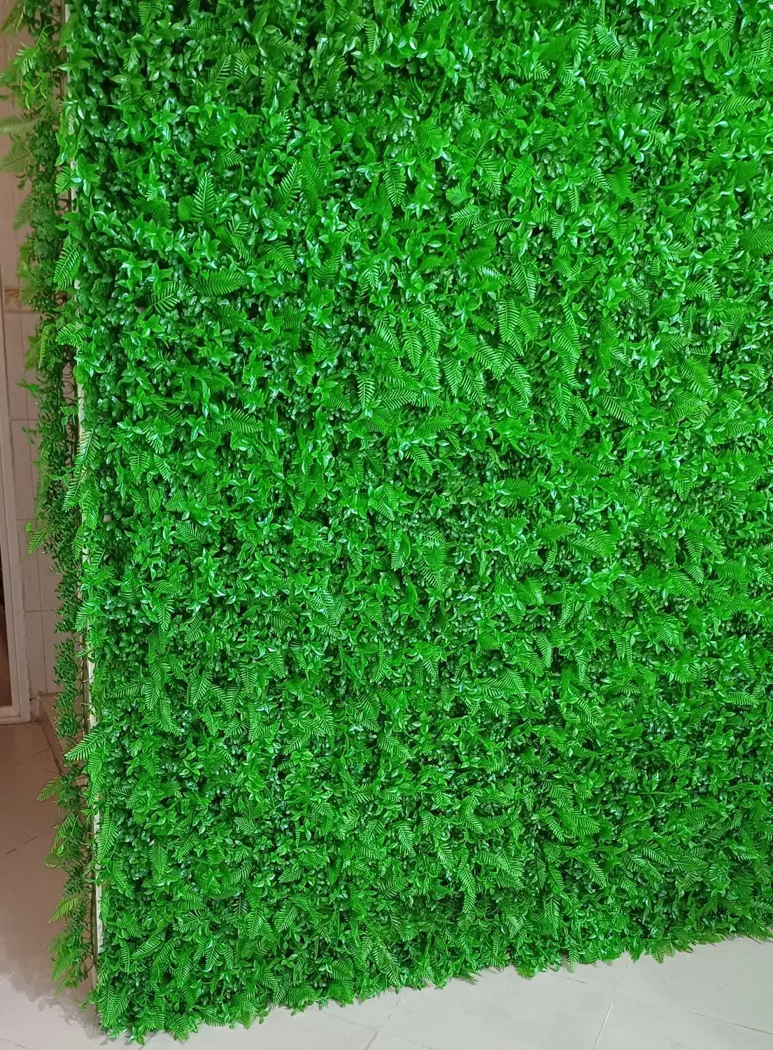 دیوارسبز|گل مصنوعی|کرمان, |دیوار