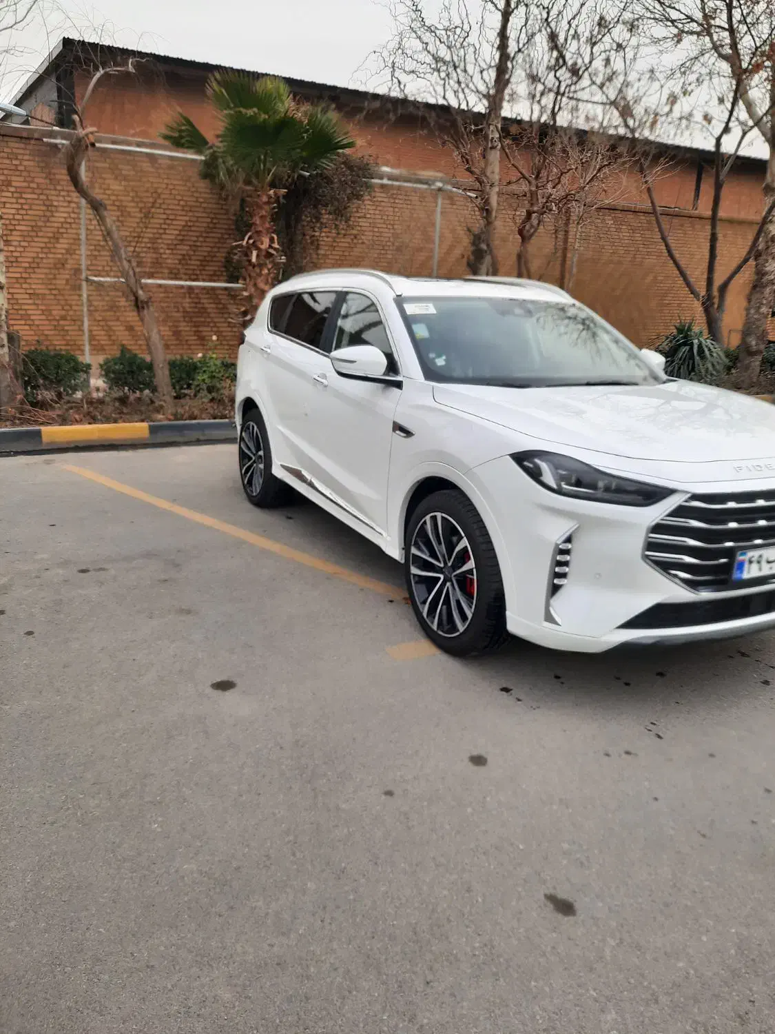 فیدیلیتی پرستیژ|خودرو سواری و وانت|تهران, درختی|دیوار