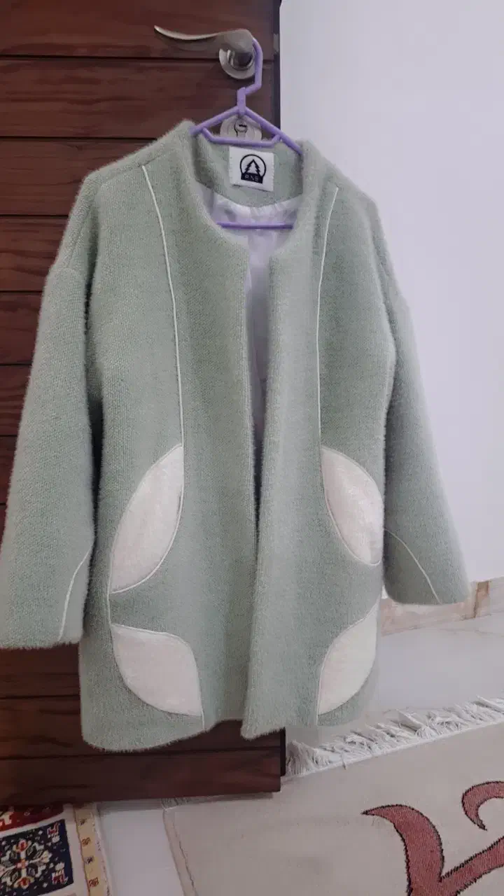 پالتو|لباس|پارس‌آباد, |دیوار