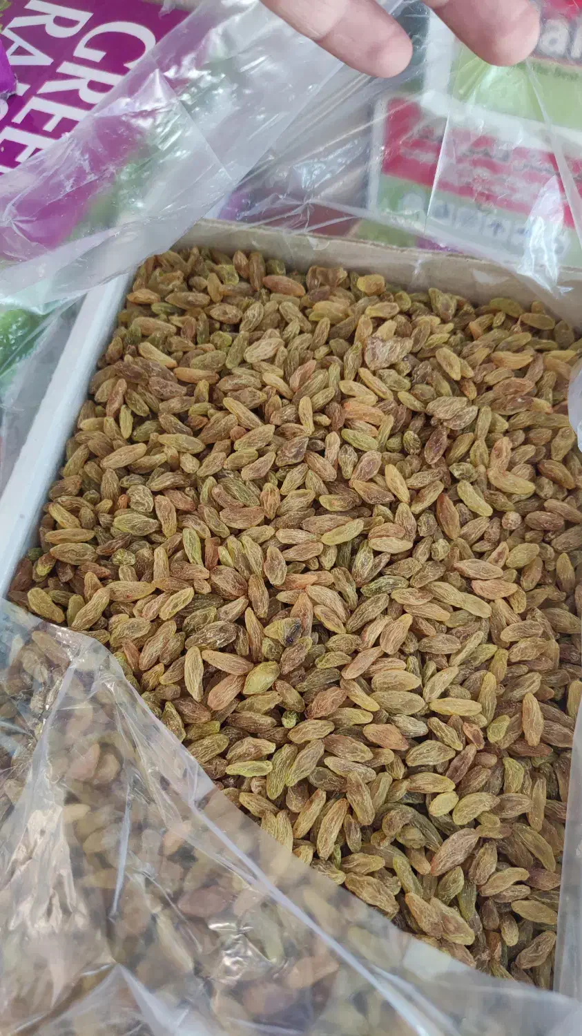 کشمش کارتنی و کیلویی|خوردنی و آشامیدنی|بیرجند, |دیوار