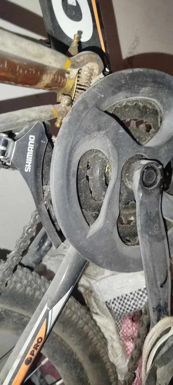 دوچرخه سایز 20|دوچرخه، اسکیت، اسکوتر|طرقبه, |دیوار