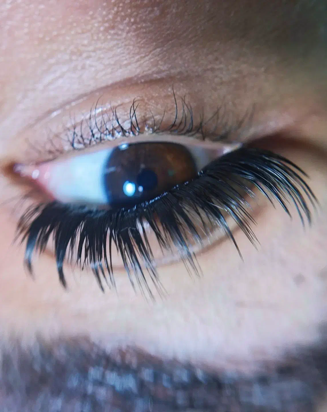 کاشت هیدن و اکستنشن مژه|خدمات آرایشگری و زیبایی|رشت, فلسطین|دیوار