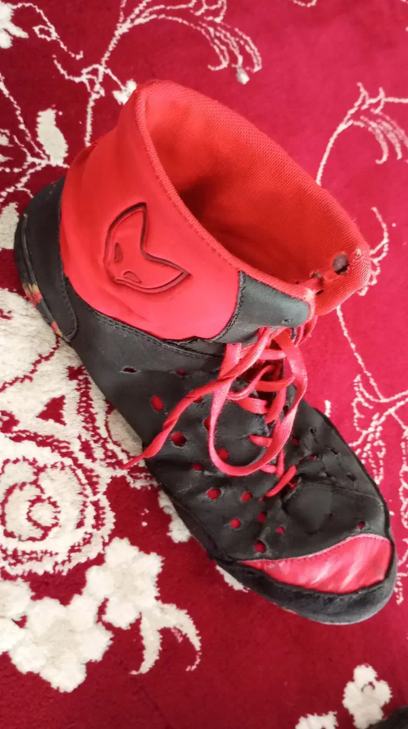 کفش کشتی|کیف، کفش، کمربند|قم, قلعه کامکار|دیوار