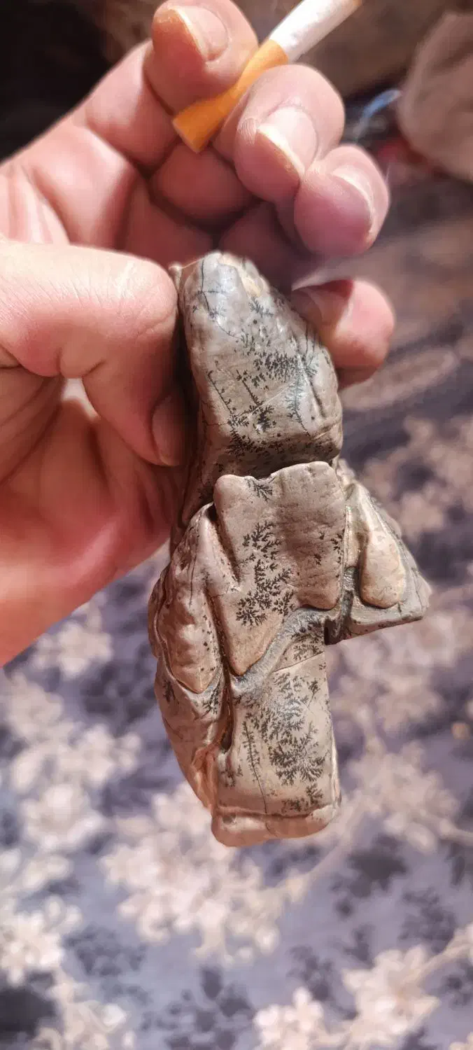 شجر|کلکسیون اشیاء عتیقه|زنجان, |دیوار