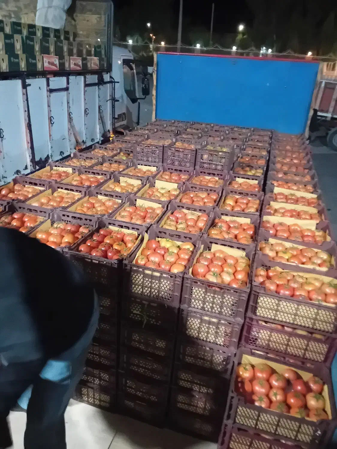 حمل بار و جابجای اثاث منزل و مبلمان و غیره|خدمات حمل و نقل|بم, |دیوار