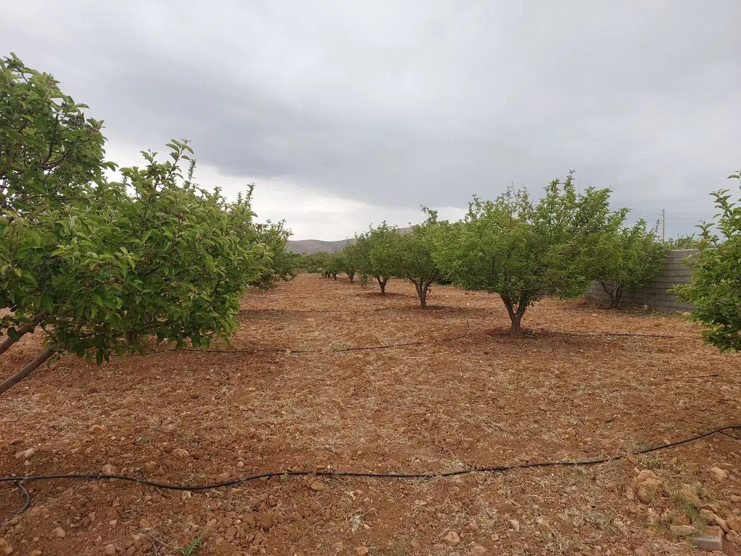 باغشهر ۱۰۰۰ متری آبپرده|فروش خانه و ویلا|شیراز, کودیان|دیوار