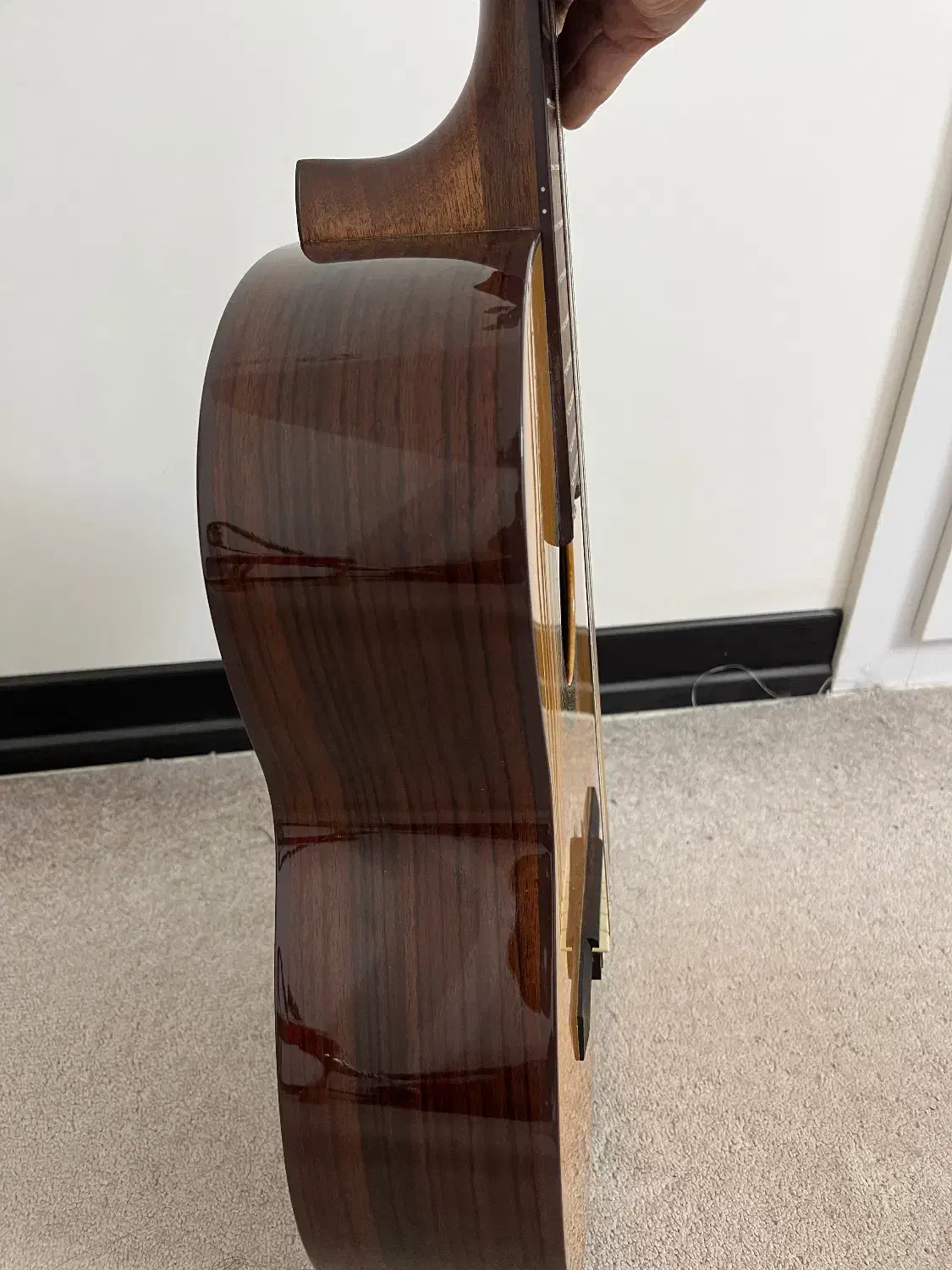 گیتار|گیتار، بیس، امپلیفایر|شاهینشهر, مخابرات (شهید بهشتی)|دیوار